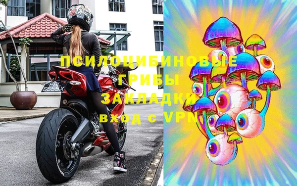 винт Костерёво