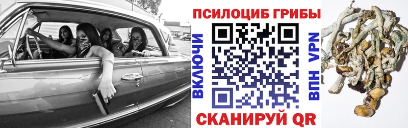 Псилоцибиновые грибы MAGIC MUSHROOMS  что такое   Болохово 